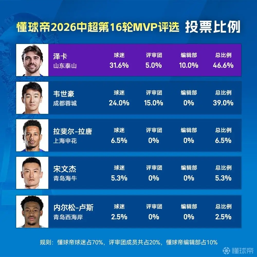 投票比例